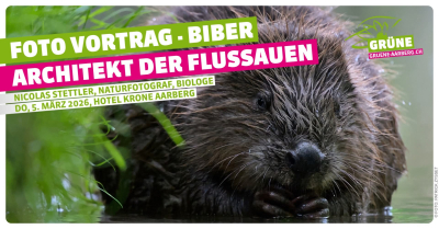 Foto-Vortrag: Biber – Architekt der Flussauen Foto-Vortrag: Biber – Architekt der Flussauen