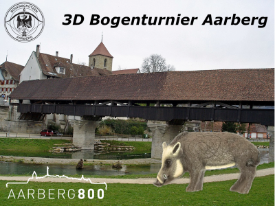 AARBERG800 | 3D Bogenturnier